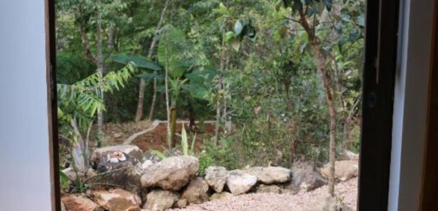 Pousada – Alto Padrão – Piscina Natural – Bairro Eldorado – Alto Paraíso de Goiás