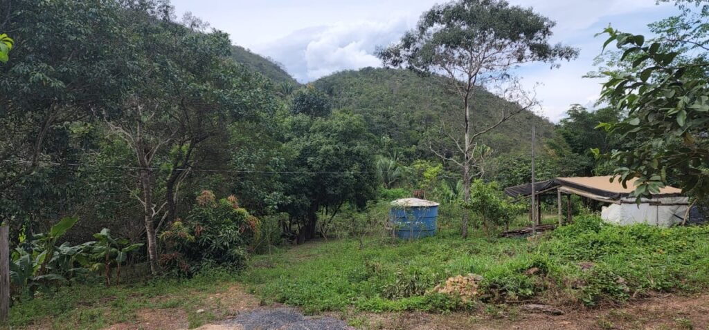 Casa – Rio – Lote 9.000 m2 – Alto Paraíso de Goiás
