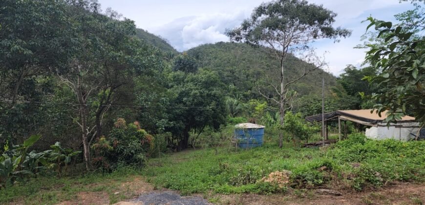 Casa – Rio – Lote 9.000 m2 – Alto Paraíso de Goiás