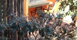 Pousada – Alto Padrão – Piscina Natural – Bairro Eldorado – Alto Paraíso de Goiás Pousada – Alto Padrão – Piscina Natural – Bairro Eldorado – Alto Paraíso de Goiás