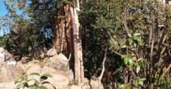 Pousada – Alto Padrão – Piscina Natural – Bairro Eldorado – Alto Paraíso de Goiás Pousada – Alto Padrão – Piscina Natural – Bairro Eldorado – Alto Paraíso de Goiás