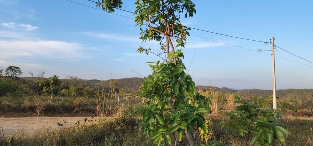 Lote 528m2 – Eldorado 3 – Alto Paraíso
