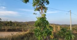 Lote 528m2 – Eldorado 3 – Alto Paraíso Lote 528m2 – Eldorado 3 – Alto Paraíso