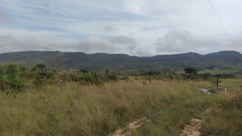 Chácara 4 ha – 5 km de Alto Paraíso sentido Cachoeira dos Cristais