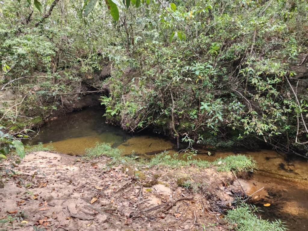 Chácara 5,30ha – Rio – Morro da Baleia – 13 km de Alto Paraíso de Goiás sentido São Jorge