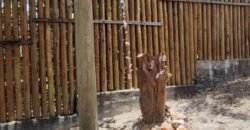 Casa Mandala à Venda – São Jorge, Chapada dos Veadeiros (GO) Casa Mandala à Venda – São Jorge, Chapada dos Veadeiros (GO)