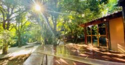 Pousada – Rio – Poço para Banho – Moinho – 4.000m2 – 12km de Alto Paraíso de Goiás Pousada – Rio – Poço para Banho – Moinho – 4.000m2 – 12km de Alto Paraíso de Goiás