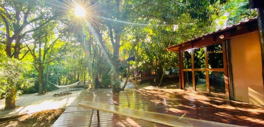 Pousada – Rio – Poço para Banho – Moinho – 4.000m2 – 12km de Alto Paraíso de Goiás