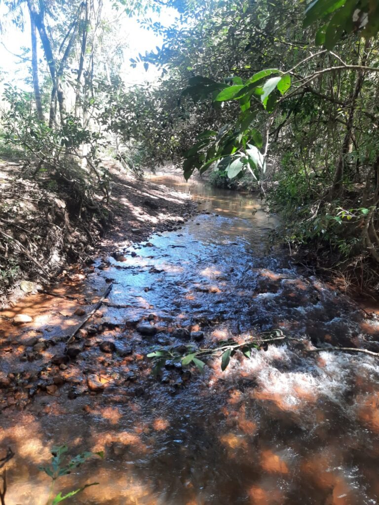 Chácara 2.7 Alq. – Povoado Bandeira – Rio – Nascente – 24km de Alto Paraíso de Goiás