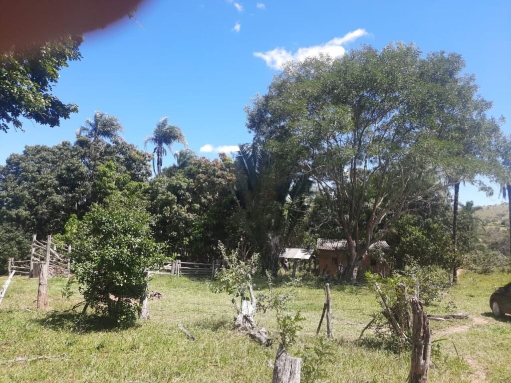 Chácara 2.7 Alq. – Povoado Bandeira – Rio – Nascente – 24km de Alto Paraíso de Goiás