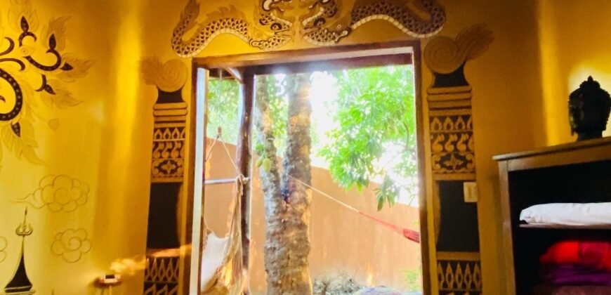 Pousada – Rio – Poço para Banho – Moinho – 4.000m2 – 12km de Alto Paraíso de Goiás