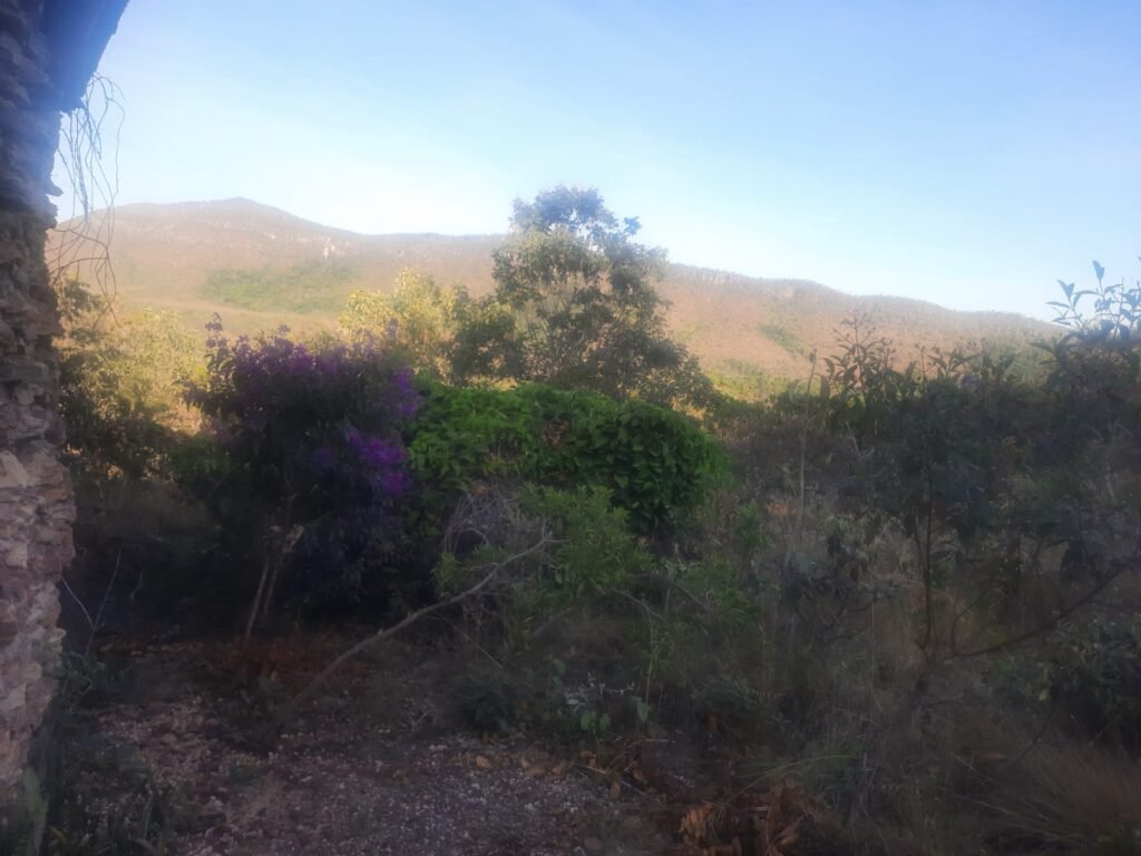 Chácara 4ha – Rio dos Couros – Lofth Ecológico Arco Iris- KM 12 – Alto Paraíso e São jorge