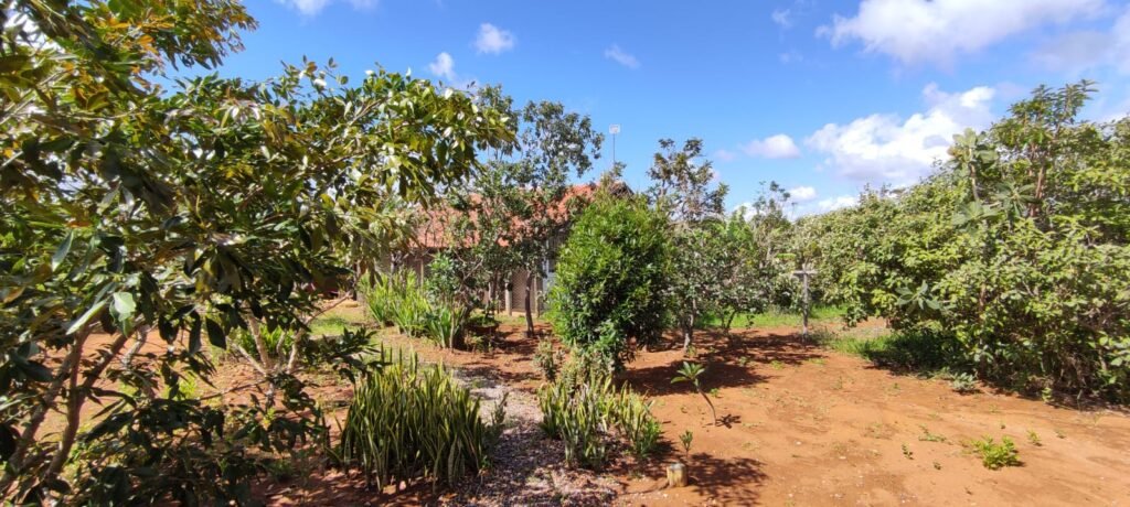 3 Casas Bioconstrução – Condomínio Rural IBC – Rio- 4km de Alto Paraíso de Goiás