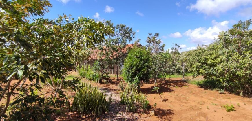3 Casas Bioconstrução – Condomínio Rural IBC – Rio- 4km de Alto Paraíso de Goiás
