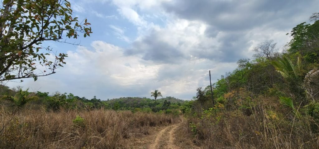 Chácara 4ha Beira Rio São Miguel – 17km de São Jorge – Chapada dos Veadeiros