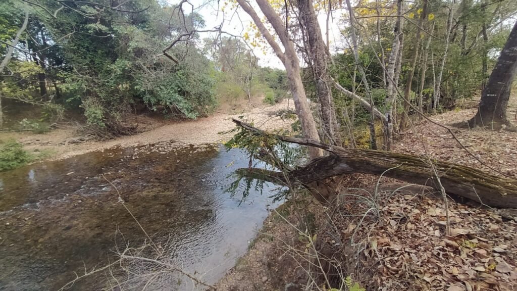 Fazenda 51ha – Beira Rio – Sertão – Alto Paraíso de Goiás
