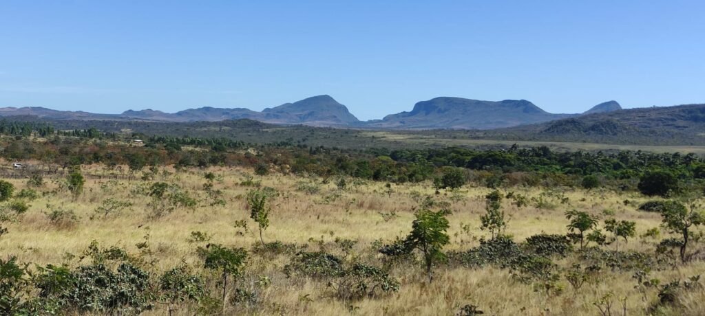Chácara 5ha – na  Fazenda São Bento – entre Alto Paraíso e São Jorge