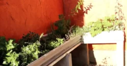 Pousada – Alto Padrão – Piscina Natural – Bairro Eldorado – Alto Paraíso de Goiás Pousada – Alto Padrão – Piscina Natural – Bairro Eldorado – Alto Paraíso de Goiás