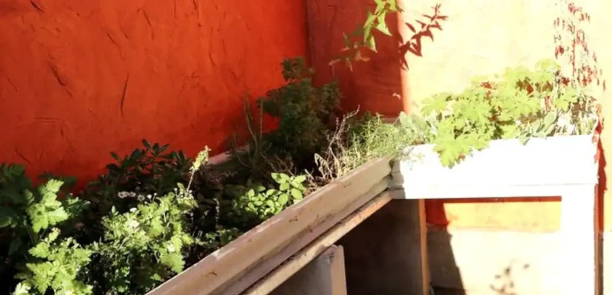 Pousada – Alto Padrão – Piscina Natural – Bairro Eldorado – Alto Paraíso de Goiás