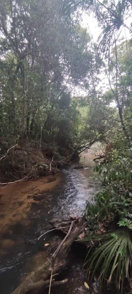 Maravilhosa Chácara 20ha – Recifra – Alto Paraíso de Goiás