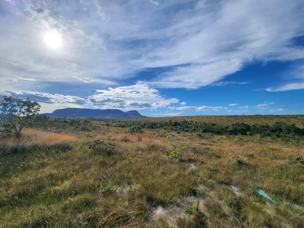 Chácara 5,30ha – Rio – Morro da Baleia – 13 km de Alto Paraíso de Goiás sentido São Jorge