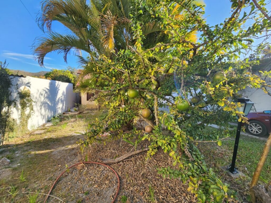 Casa em Cavalcante de Goiás – Excelente localização – fundo Reserva – Chapada dos Veadeiros
