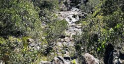 Chácara 7ha – Sentido Cachoeira dos Cristais – Alto Paraíso de Goiás