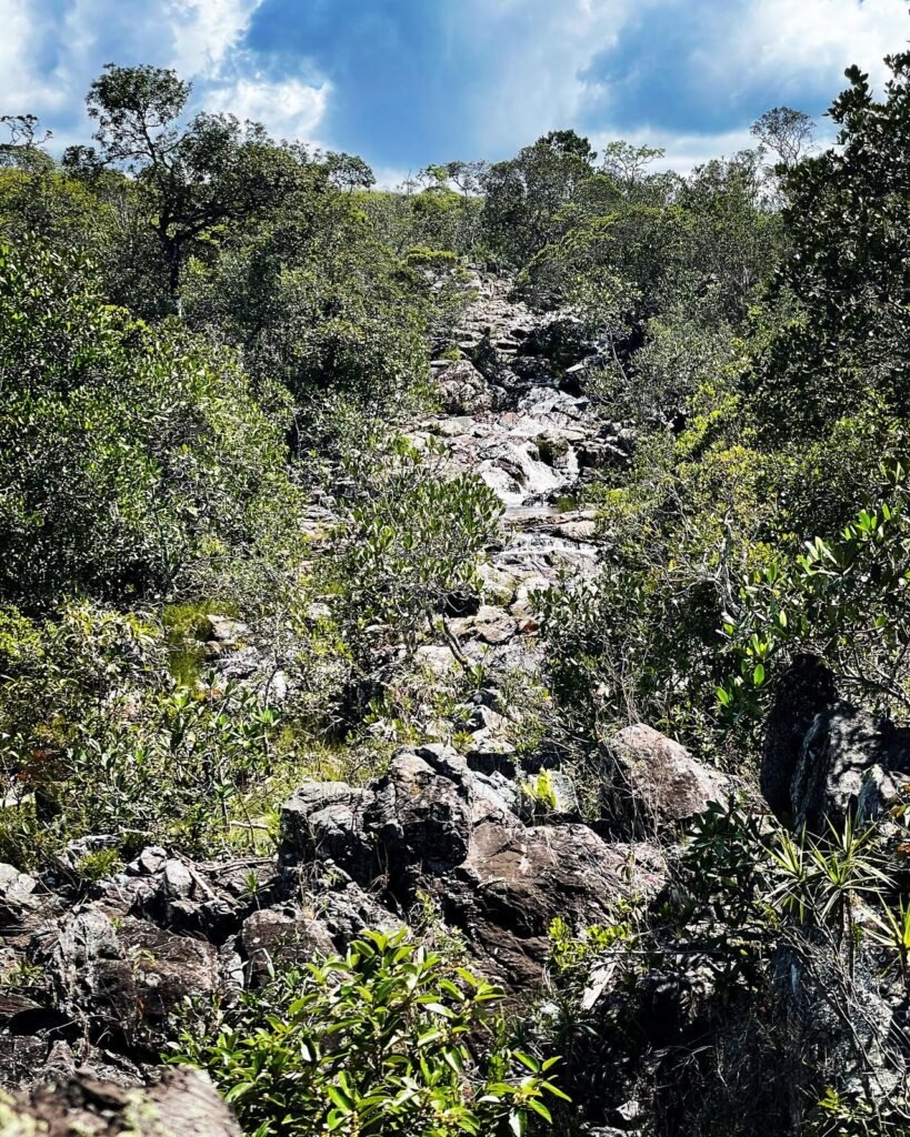 Chácara 7ha – Sentido Cachoeira dos Cristais – Alto Paraíso de Goiás