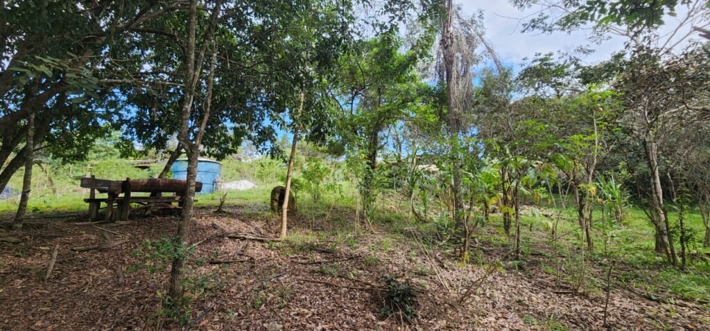 Casa – Rio – Lote 9.000 m2 – Alto Paraíso de Goiás