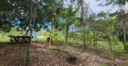 Casa – Rio – Lote 9.000 m2 – Alto Paraíso de Goiás