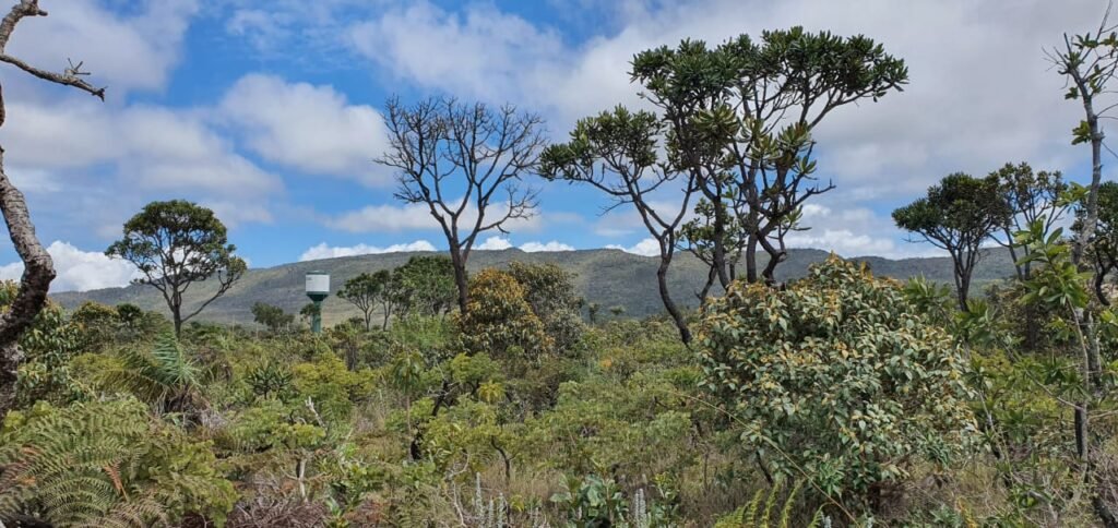 Vende-se Lote 2.700m2 – Alto Paraíso de Goiás