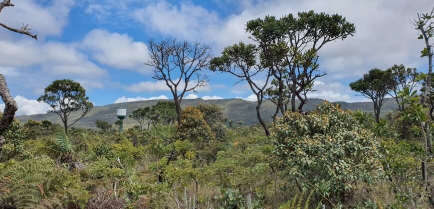 Vende-se Lote 2.700m2 – Alto Paraíso de Goiás