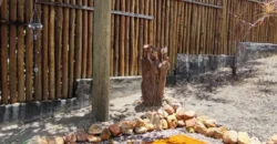 Casa Mandala à Venda – São Jorge, Chapada dos Veadeiros (GO) Casa Mandala à Venda – São Jorge, Chapada dos Veadeiros (GO)