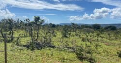 Chácara 4ha – Poço artesiano – 5km de Alto Paraíso sentido Cachoeira dos Cristais – Chapada dos Veadeiros