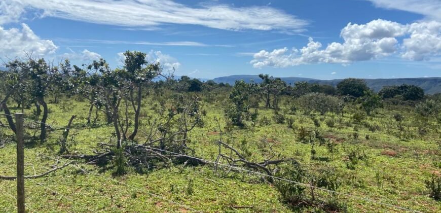 Chácara 4ha – Poço artesiano – 5km de Alto Paraíso sentido Cachoeira dos Cristais – Chapada dos Veadeiros