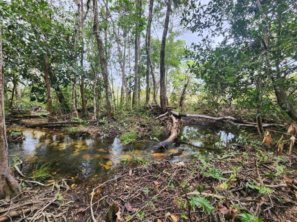 Chácara – Porteira Fechada – Rio – 5.7ha -Vale Verde – Alto Paraíso de Goiás