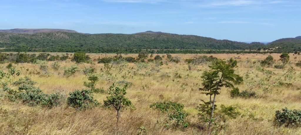Chácara 5ha – na  Fazenda São Bento – entre Alto Paraíso e São Jorge