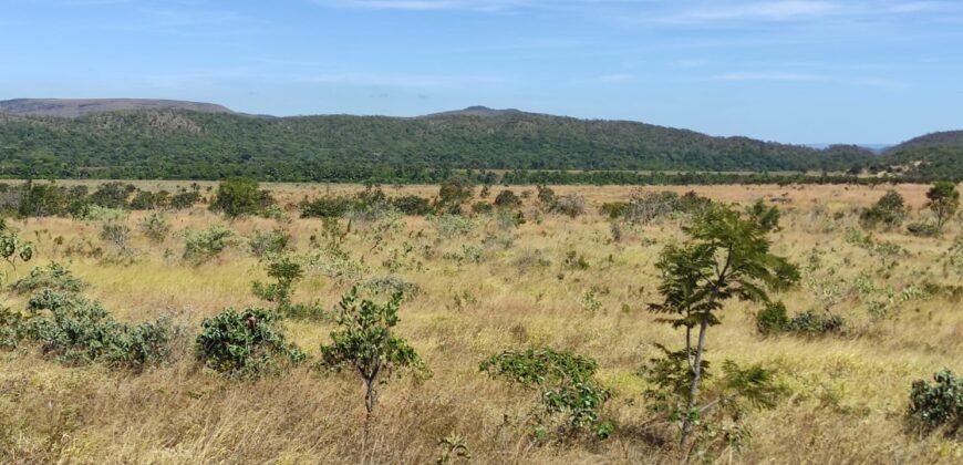 Chácara 5ha – na  Fazenda São Bento – entre Alto Paraíso e São Jorge