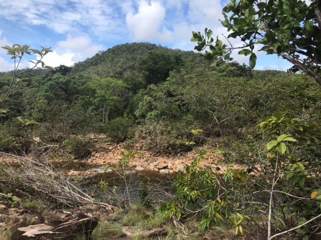 Chácara Suçuarana com acesso ao rio, Próximo a Cachoeira do Poço Encantado – Chapada dos Veadeiros