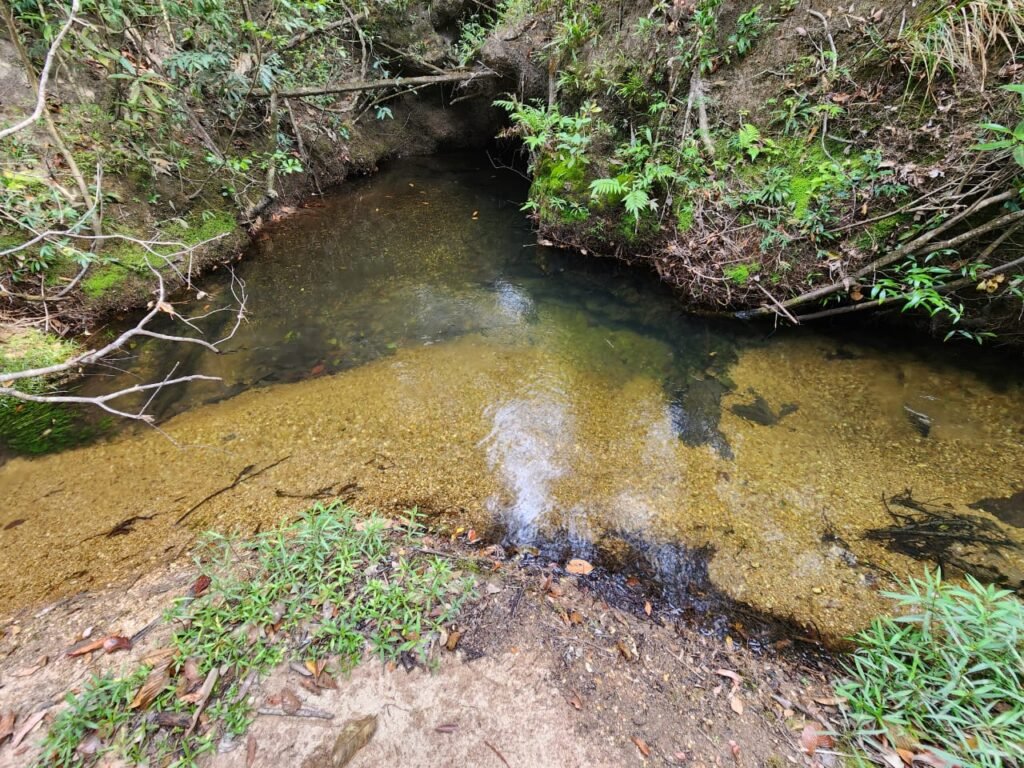 Chácara 5,30ha – Rio – Morro da Baleia – 13 km de Alto Paraíso de Goiás sentido São Jorge