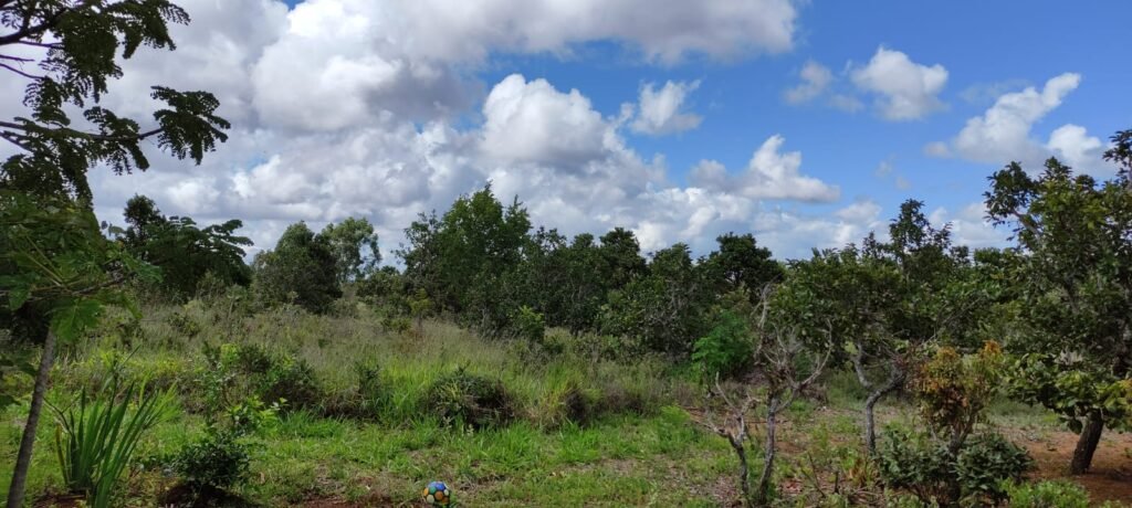 3 Casas Bioconstrução – Condomínio Rural IBC – Rio- 4km de Alto Paraíso de Goiás
