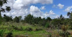 3 Casas Bioconstrução – Condomínio Rural IBC – Rio- 4km de Alto Paraíso de Goiás