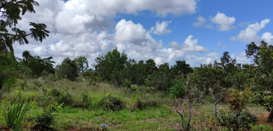 3 Casas Bioconstrução – Condomínio Rural IBC – Rio- 4km de Alto Paraíso de Goiás