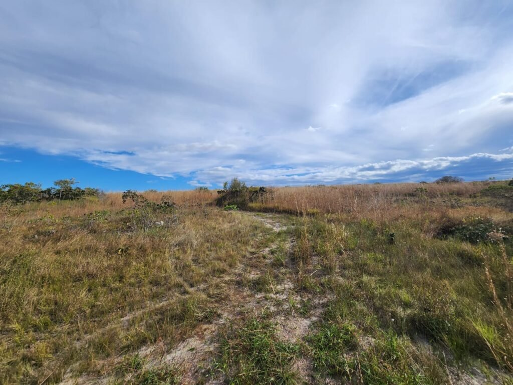 Chácara 5,30ha – Rio – Morro da Baleia – 13 km de Alto Paraíso de Goiás sentido São Jorge