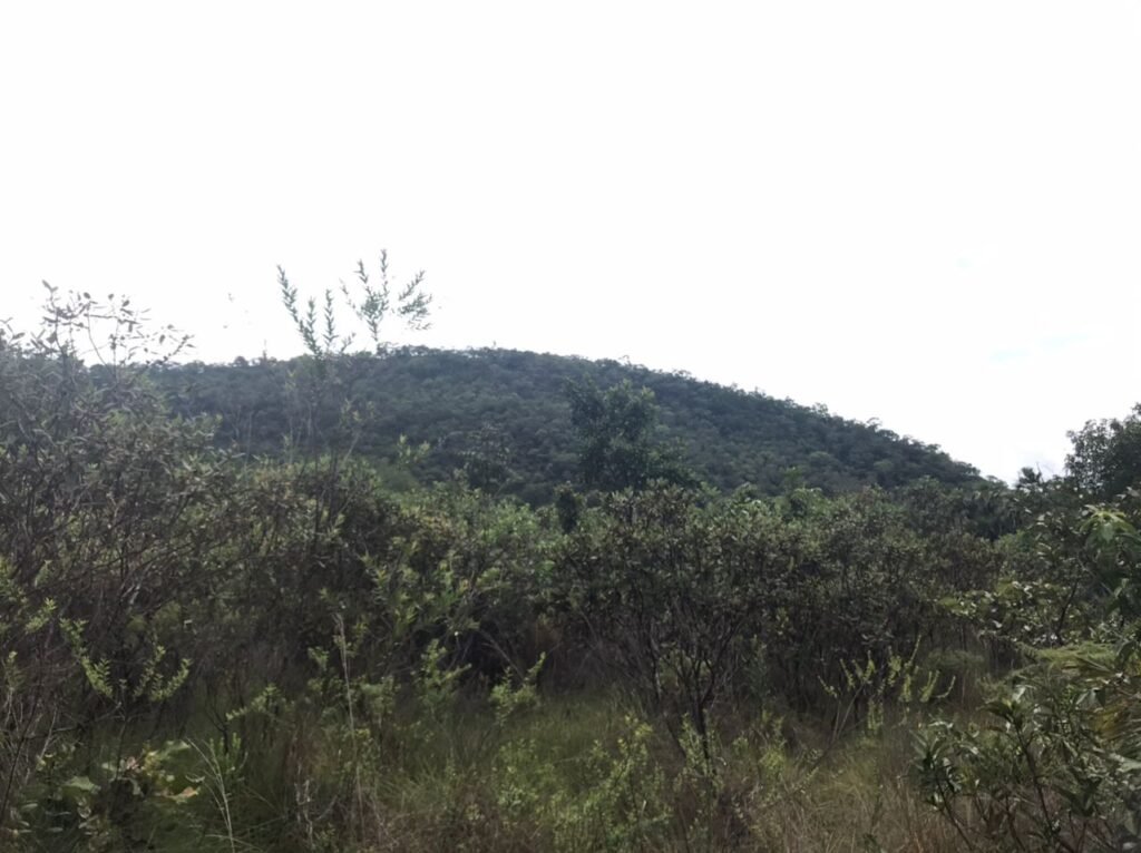 Chácara Suçuarana com acesso ao rio, Próximo a Cachoeira do Poço Encantado – Chapada dos Veadeiros