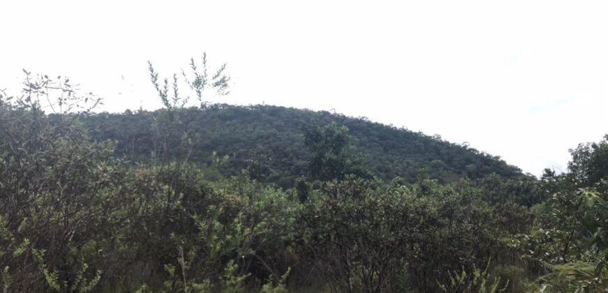 Chácara Suçuarana com RIO, Próximo a Cachoeira do Poço Encantado – Chapada dos Veadeiros