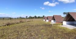 Pousada no Morro da Baleia – Alto Paraíso de Goiás – Chapada dos Veadeiros Pousada no Morro da Baleia – Alto Paraíso de Goiás – Chapada dos Veadeiros