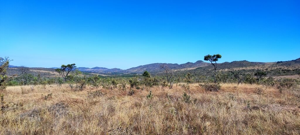 Chácara 7ha – Sentido Cachoeira dos Cristais – Alto Paraíso de Goiás