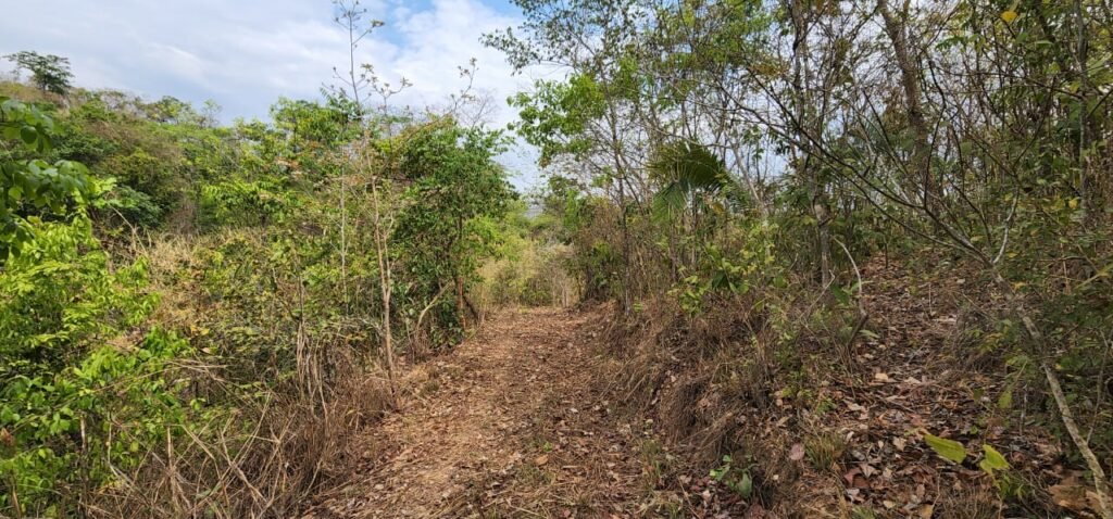Chácara 4ha Beira Rio São Miguel – 17km de São Jorge – Chapada dos Veadeiros