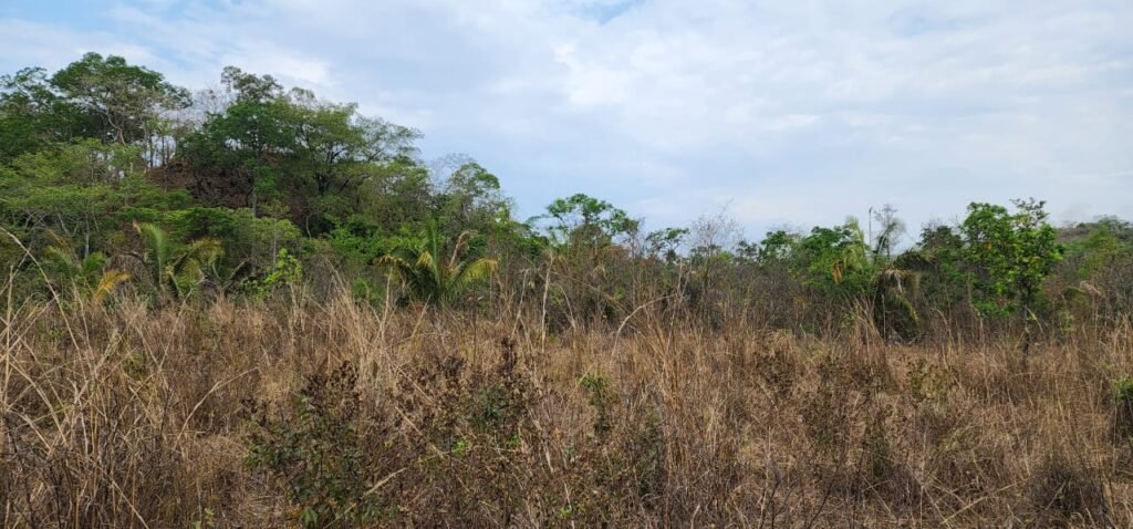 Chácara 4ha Beira Rio São Miguel – 17km de São Jorge – Chapada dos Veadeiros